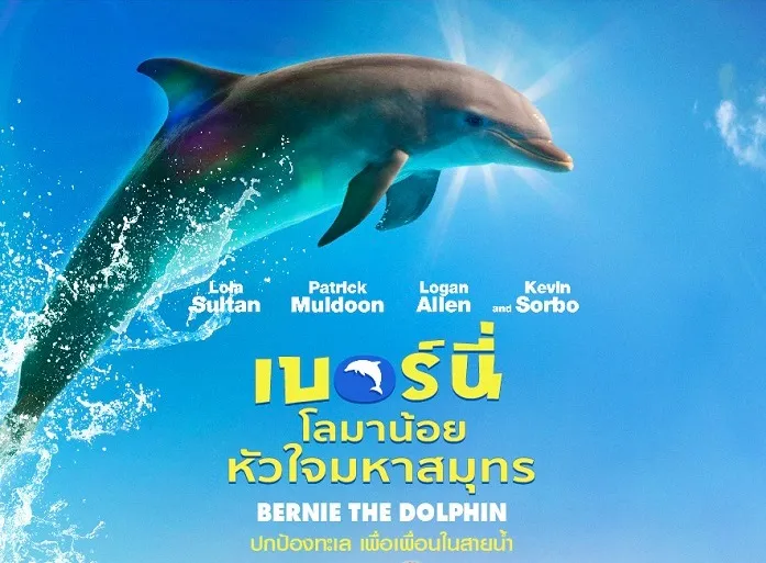 รีวิวหนัง Bernie the Dolphin (2018) เบอร์นี่ โลมาน้อย หัวใจมหาสมุทร