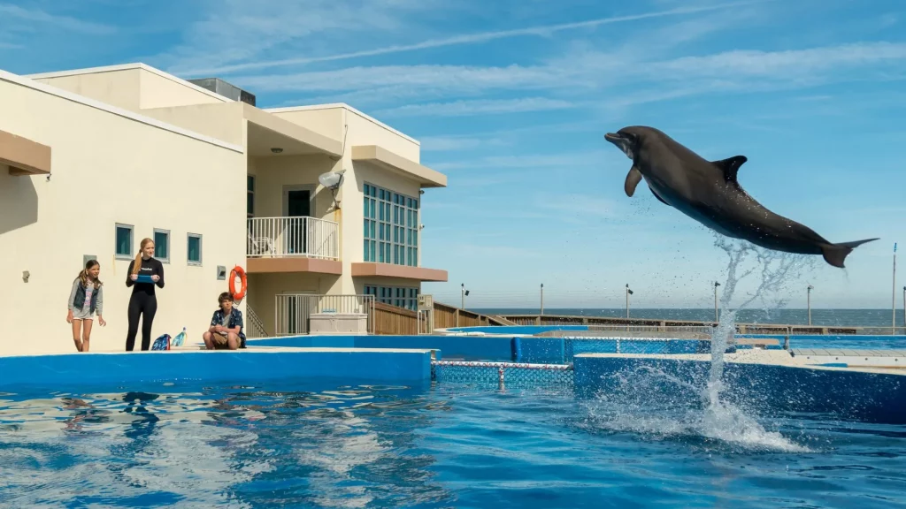รีวิวหนัง Bernie the Dolphin (2018) เบอร์นี่ โลมาน้อย หัวใจมหาสมุทร