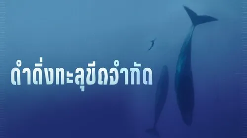 รีวิวหนัง Freediver (2024) ดำดิ่งทะลุขีดจำกัด