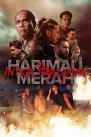 Bleeding Tiger Conflict Begins (2025) หลั่งเลือดพยัคฆ์ ปฏิบัติการอำพราง