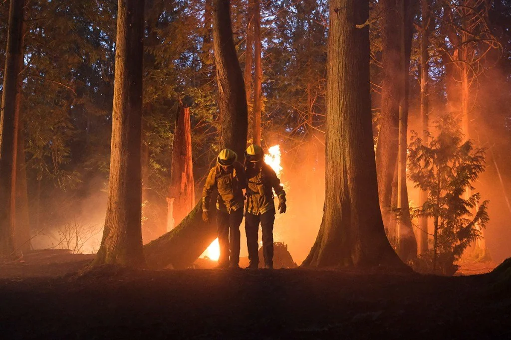 รีวิวหนัง Fire Country (2022)