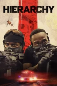 Hierarchy (2025)