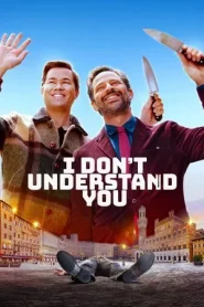 I Don t Understand You (2025)