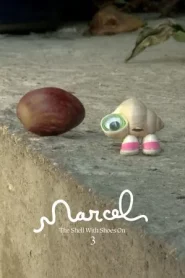 Marcel the Shell with Shoes On (2021) มาร์เซล หอยจิ๋วกับรองเท้าคู่ใจ