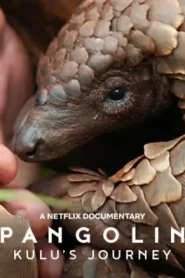 Pangolin Kulu s Journey (2025) การเดินทางของคูลู