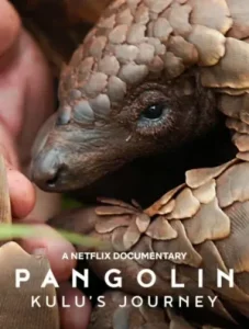 Pangolin Kulu s Journey (2025) การเดินทางของคูลู