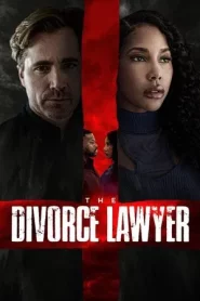 The Divorce Lawyer (2025)