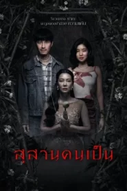 Tomb Watcher (2025) สุสานคนเป็น