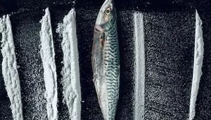 รีวิวหนัง Turn of the Tide The Surreal Story of Rabo de Peixe (2025) อาชญากรน้ำเค็ม เปิดเรื่องจริงสุดเหลือเชื่อ