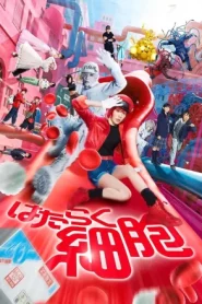 Cells at Work (2025) เซลล์ขยันพันธุ์เดือด