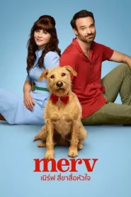 Merv (2025) เมิร์ฟ สี่ขาสื่อหัวใจ