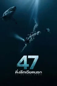 47 Meters Down (2017) 47 ดิ่งลึกเฉียดนรก
