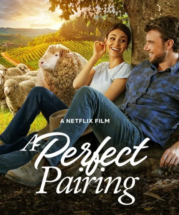 A Perfect Pairing (2022) คู่นี้... คือเพอร์เฟค