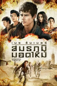 Maze Runner 2 The Scorch Trials (2015) สมรภูมิมอดไหม้