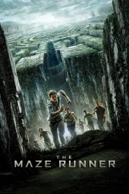 The Maze Runner (2014) วงกตมฤตยู ภาค 1