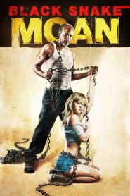 Black Snake Moan (2006) แรงรักดับราคะ