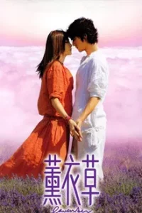 Lavender (2000) กลิ่นรักกรุ่นหัวใจ