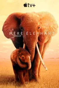 The Elephant Queen (2019)