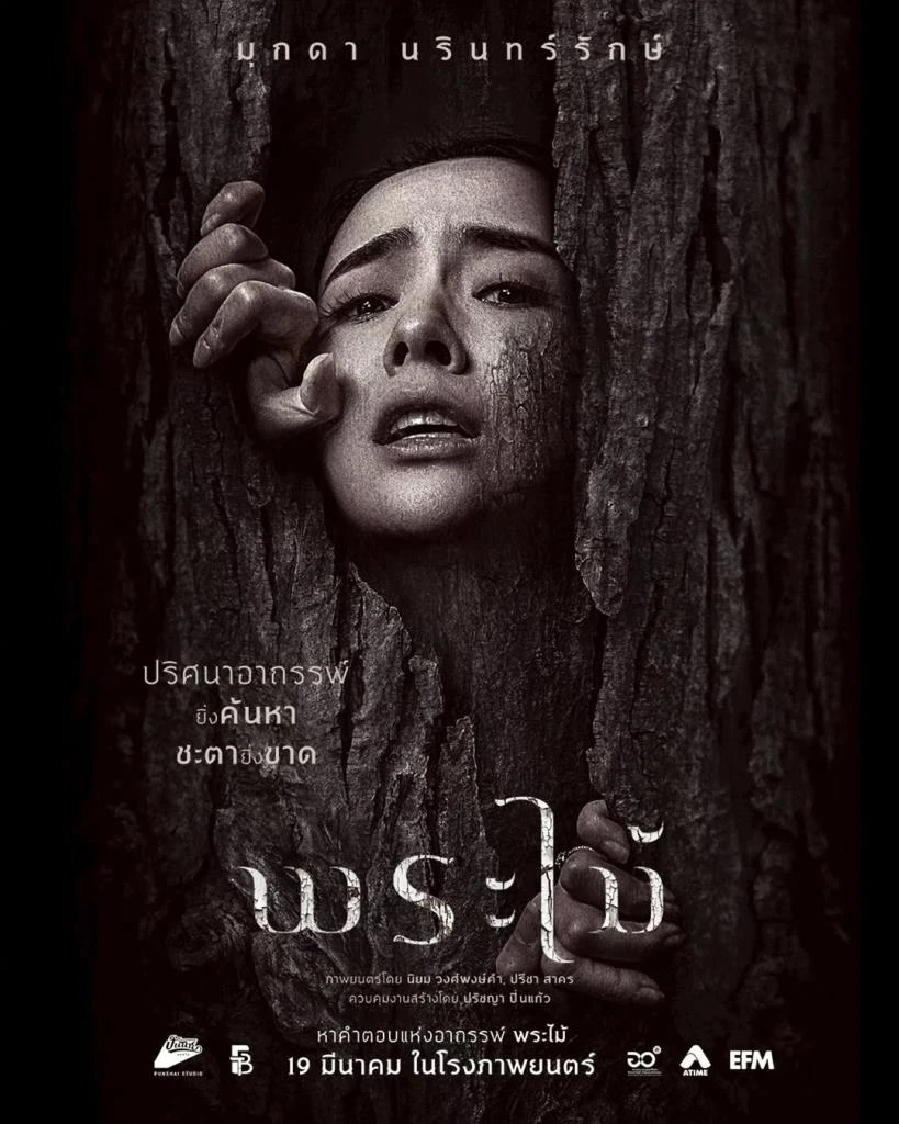 รีวิว หนัง พระไม้