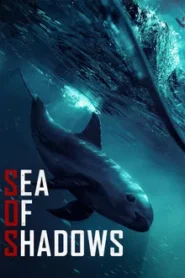 Sea of Shadows (2019) ทะเลแห่งเงา