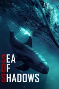 Sea of Shadows (2019) ทะเลแห่งเงา