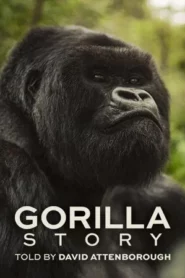 A Gorilla Story Told by David Attenborough (2026) เล่าเรื่องกอริลลา โดยเดวิด แอทเทนเบอเรอห์
