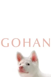 Gohan (2026) โกฮัง หัวใจโกโฮม