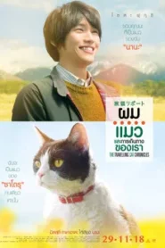 THE TRAVELLING CAT CHRONICLES (2018) ผม แมว และการเดินทางของเรา