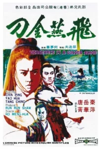 Vengeance Is A Golden Blade (1969) ฤทธิ์อีแอ่นเงิน