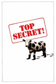 Top Secret (1984) ลับสุดบ๊องส์